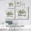 " Soft Floral Tub II "-840135289