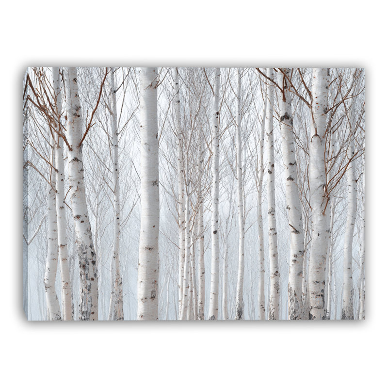 «Quiet Winter Birch Trunks», art mural sur toile tendue, H 16 po x l 24 po
