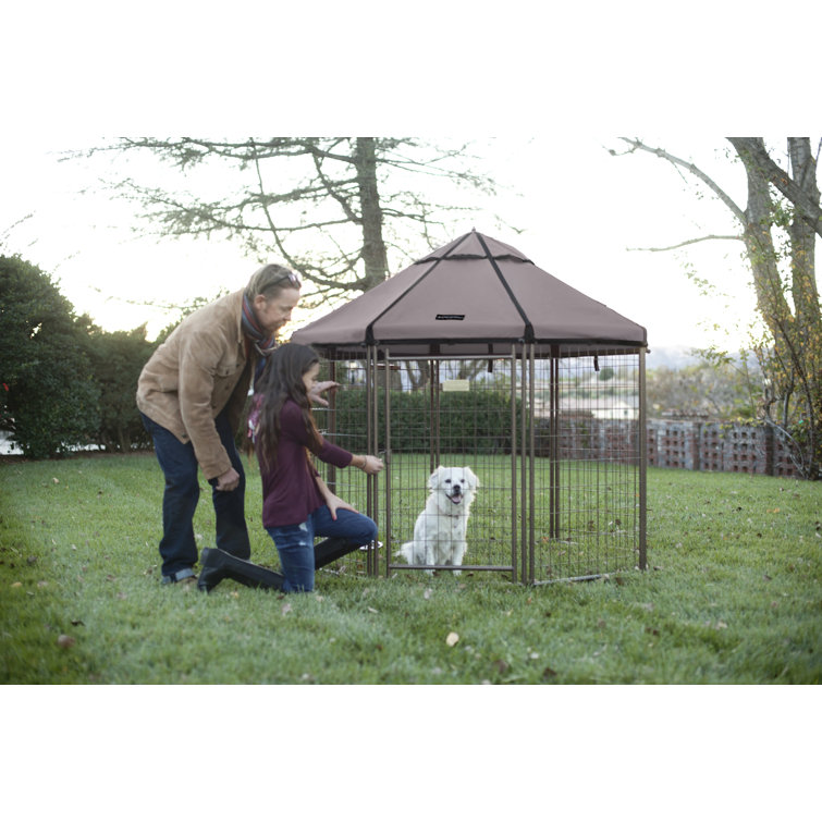 PET GAZEBO® 3ft – Pet Gazebo