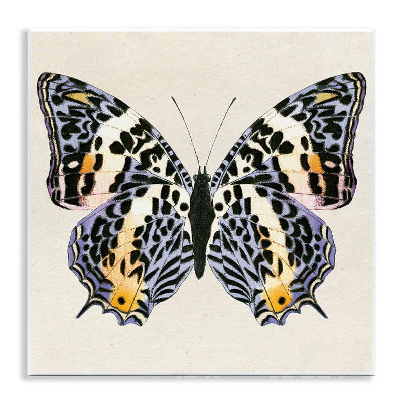  «Speckled Butterfly S croquis», art mural par Susan Arnot