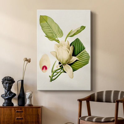 Fleurs de magnolia II - galerie Cavas sur mesure