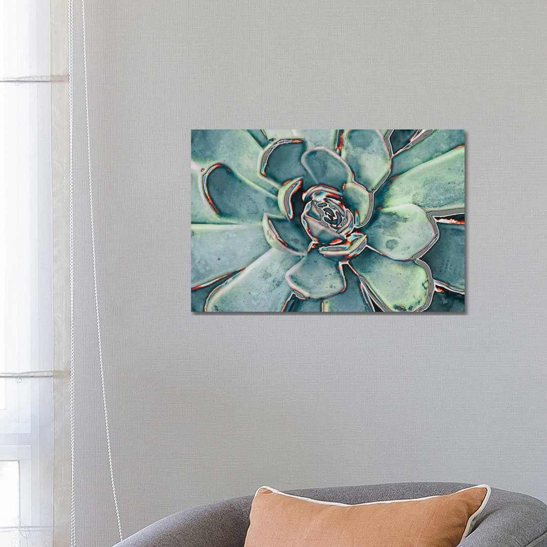 Teal Succulent von Susan Bryant - Galerie-verpackte Leinwand Giclée auf Leinwand