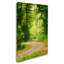 "road" , reproduction de photo sur toile tendue encadrée-14807158