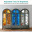 78.74 cm W Display Cabinet-589741600