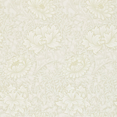 Chrysanthemum Wallpaper