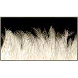 Beach Feathers Giclee On Canvas