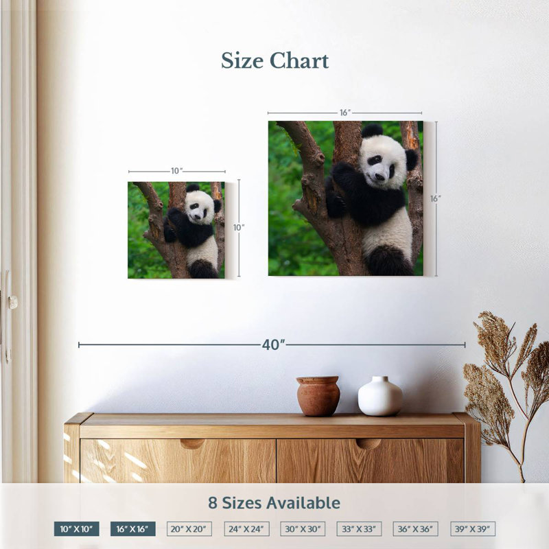 Bramble adorable panda, H 10 po x l 10 po