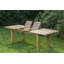 Asparagus Extendable Solid Wood Dining Table