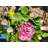 Floral Garden Wreath