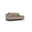 Tarell 2 Seater Sofa Bed-1455921768