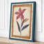 Burgundy Study Botanical - Wrapped Canvas-896865122-896865143
