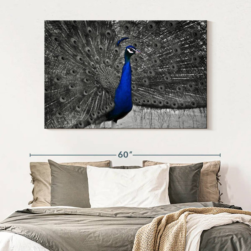 Brampt Peacock Pop, 34" H x 51" W