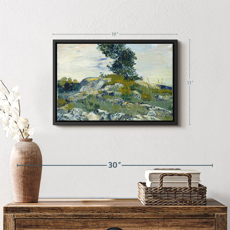 Floral et botanique «The Rocks Canvas Print», H 13 po x l 19 po