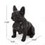 Statue de jardin bouledogue français Ohara-1091907837