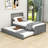 Comyns Twin Platform Bed with Trundle-1593271466