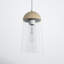 Tabitha Single Light Clear Glass Dimmable Pendant-421306502-421306505