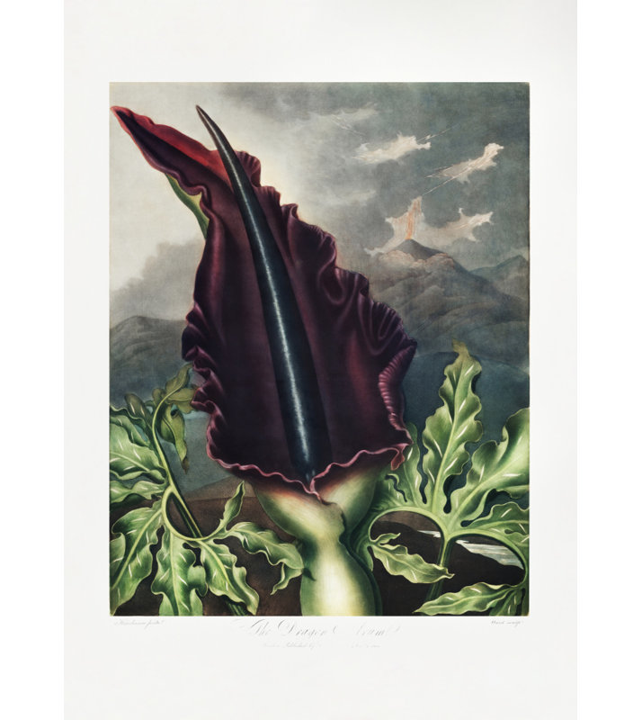 Wrapped Canvas Print, 91.44cm H x 60.96cm W