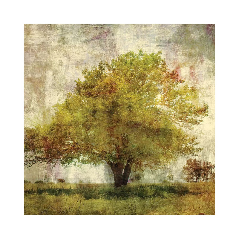 Vintage Tree 1 Piece Wrapped Canvas Wall Art, 66.04 cm H x 66.04 cm W x 1.91 cm D