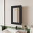 Parks Medicine Cabinet With Included Mirror-426168119