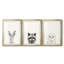 Tasse d'animaux I - Impression sur mesure encadrée de qualité supérieure - 3 pièces-498791963-498791957