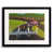 Black Framed Paper selected