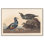 Reproduction sur toile «Lords of the Surf» par Art Remedy
