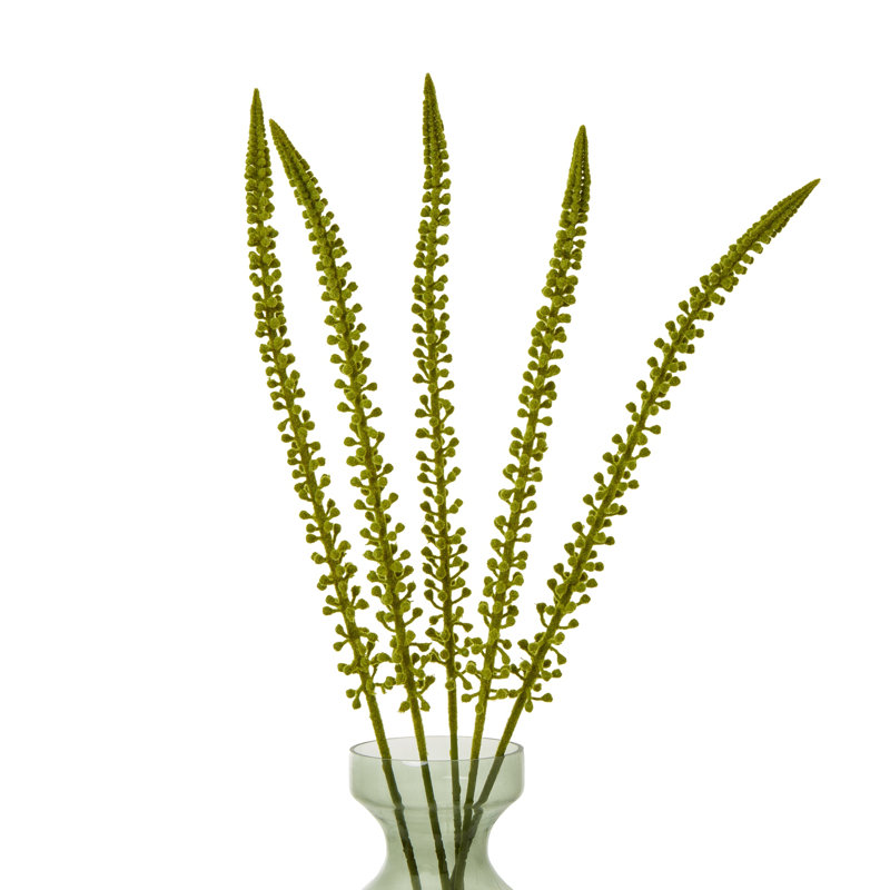 Eremurus Stem, Green