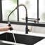 Robinet de cuisine Purifier-117581112