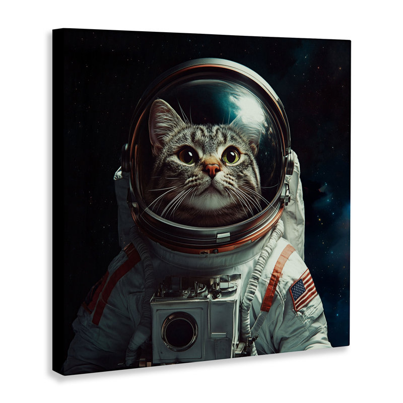 Toile d'astronaute, conception par Jim Baldwin, H 30 po x l 30 po