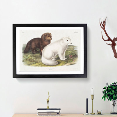 Arctic Fox 1 Piece Single Picture Frame Painting