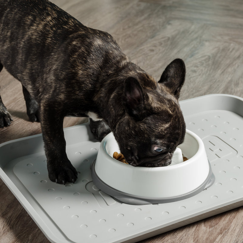 White and Gray Slow Feeder Pet Bowl with Non-Slip Base