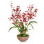 Orchids Floral Arrangement in Planter