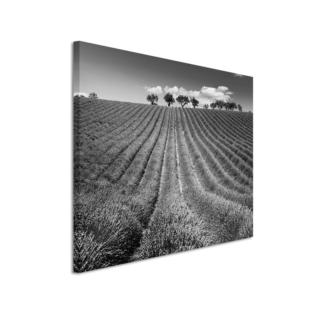 Leinwandbild „Landschaft, Feld, Lavendelfeld Provence, Frankreich“, Fotodruck