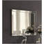 Miroir à finition platine