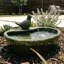 Fontaine solaire en céramique émaillée verte Avidan Dove