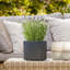 Black Concrete Effect Square Planter, Frostproof Outdoor Plant Pot, Garden Planter Box with Drainage Holes-93635366