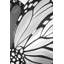 «Monarch Wings», reproduction sur toile