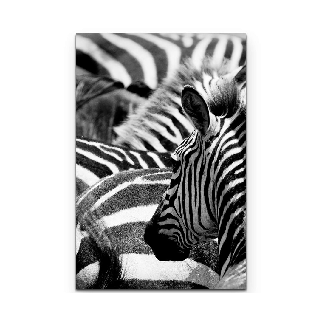 Leinwandbild Zebras in Kenia – Nahaufnahme