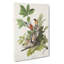 American Robins by John Audubon - Wrapped Canvas Painting-55368730