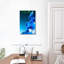 Orchidée bleue Harnek-106971937