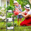 Bilinda Plant Stand