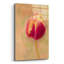 «First Bloom» par Pamela Plummer-881456075