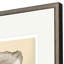 Sepia Oysters II Print by Willett Paragon