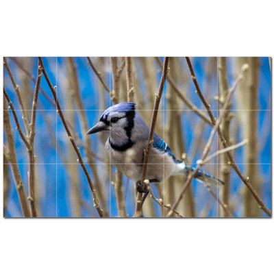 Photo d'oiseau 8 x 8