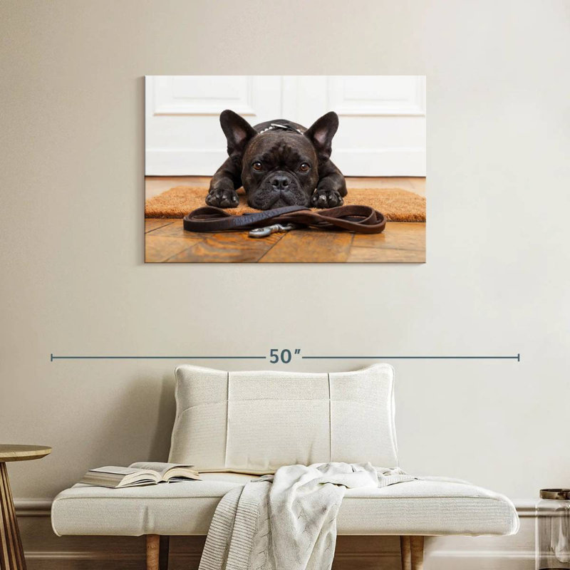 Bouledogue français en attente, H 24 po x l 36 po
