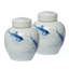 Ensemble de 2 pots Dorcus