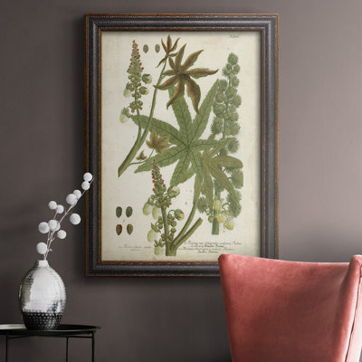 " Weinmann Tropical Plants I "