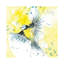Mésange bleue - reproduction d'art-52990478-52990479-52990485
