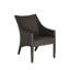 Athena Plus Patio Lounge Chair-48143494