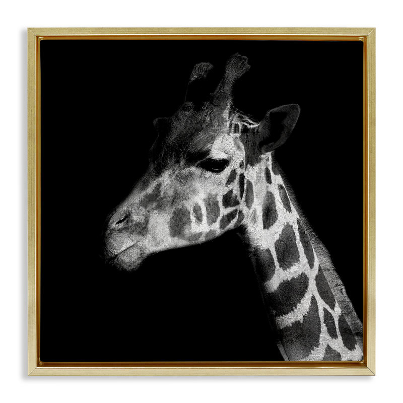 «Jungle Giraffe», art mural encadré sur toile flottante par Patricia Pinto, Cadre flottant métallique doré, H 25 po x l 25 po